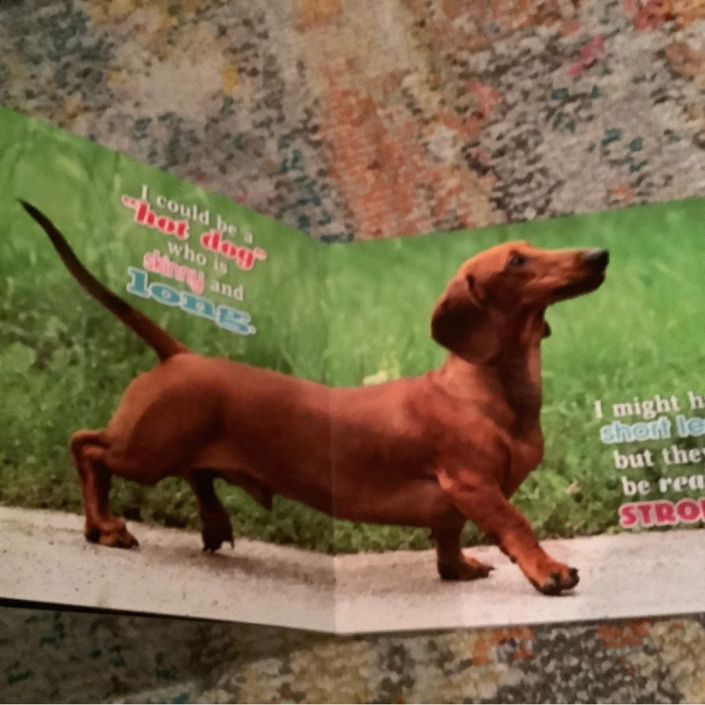 If I Were a Dog and If I Were a Cat Hardcover books